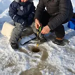 Viikinhovi