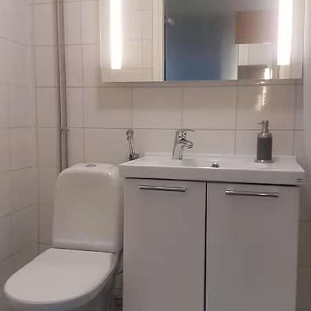 Viikinhovi