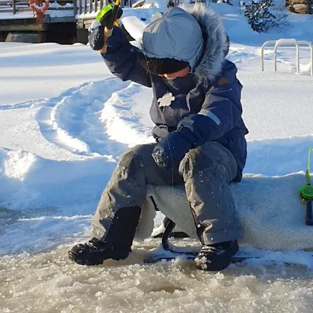 Viikinhovi Ξενοδοχείο