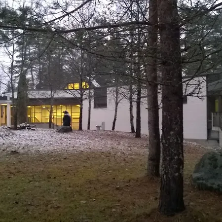 Отель Viikinhovi 4*