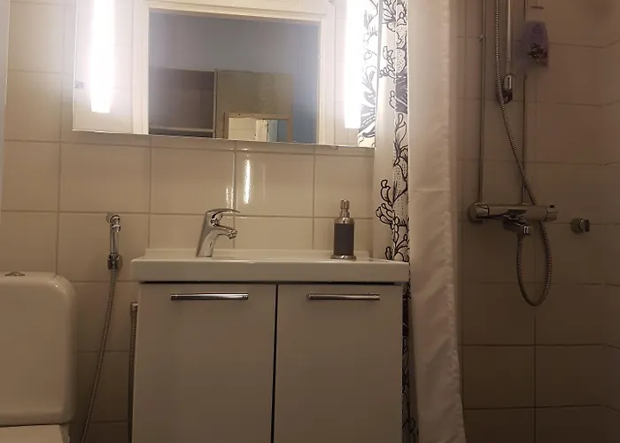 Viikinhovi Hotelli 4*